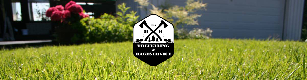 Felling av trær Uteområder vedlikehold